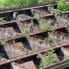 Bunkeranlage vs. Natur