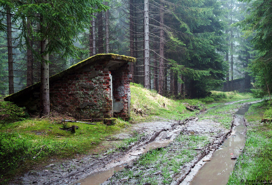 Bunkerwald in Sauersack