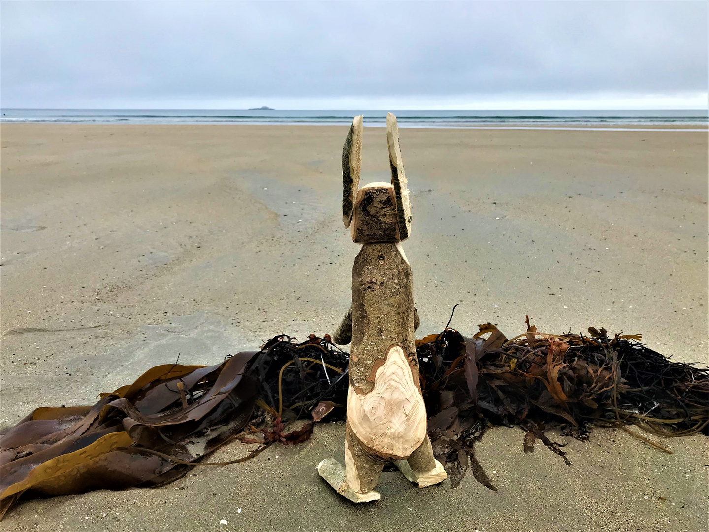 Bunny an der Banna Beach