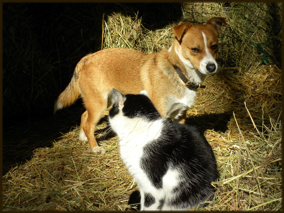 Bunny und Louis, das Dreamteam