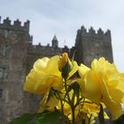 Bunratty Castle