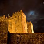 Bunratty Castle: Ireland, 2006