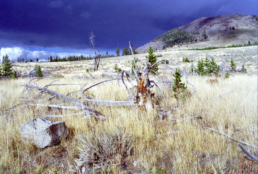 Bunsen Peak - Yellowstone Park