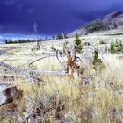 Bunsen Peak - Yellowstone Park