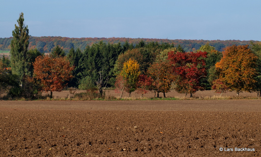 Bunt, bunter, Herbst