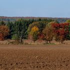 Bunt, bunter, Herbst