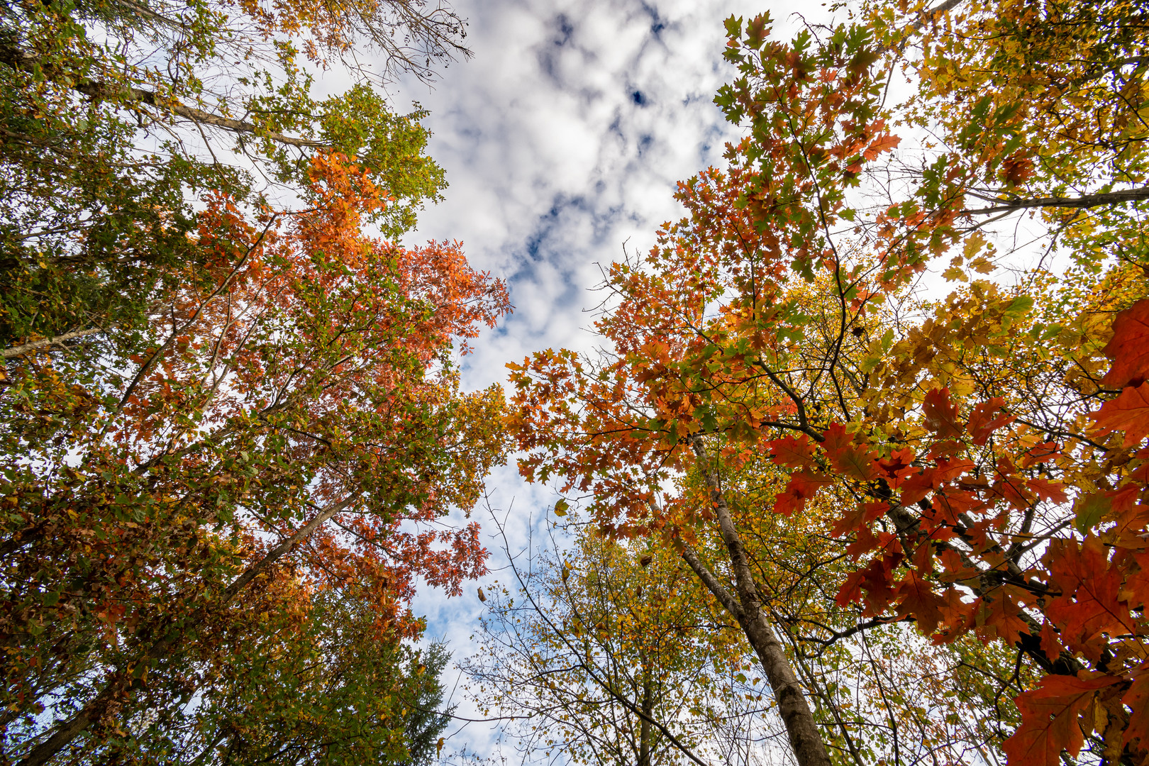 Bunt, bunter...Herbst