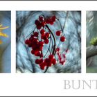 bunt