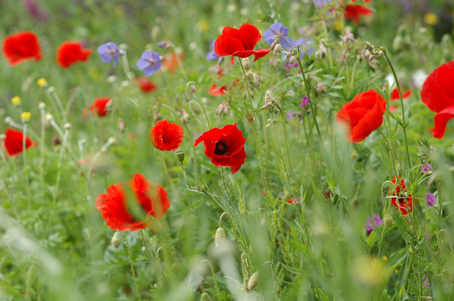 bunt durcheinander