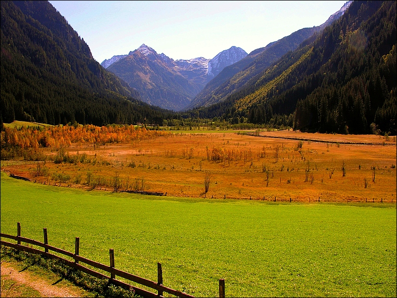 Bunt färbt sich jetzt Feld und Wald ...