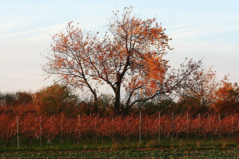 bunt gefärbt