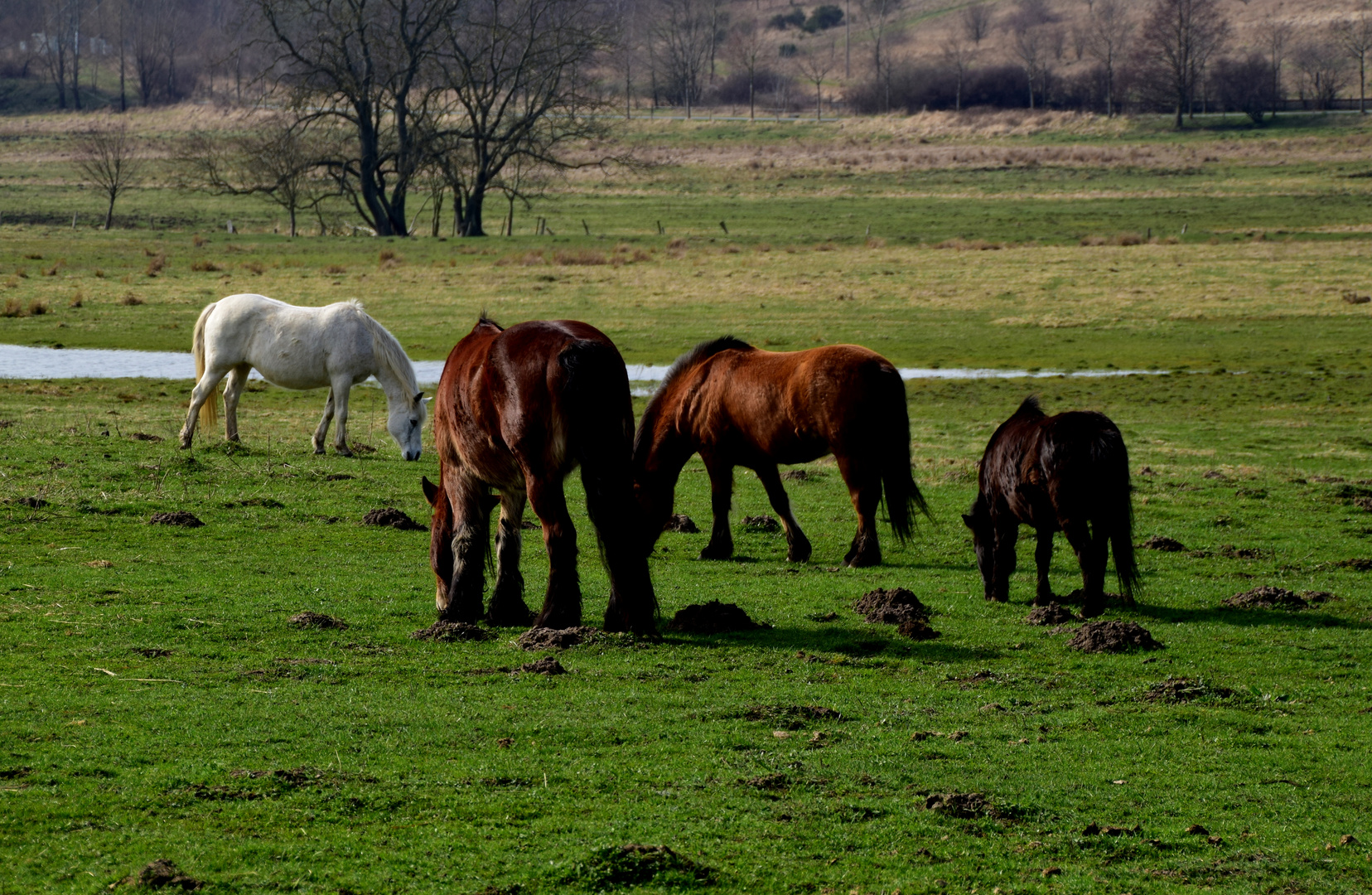 bunt gemischt