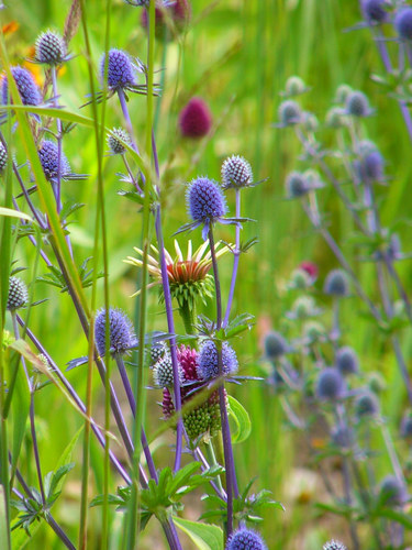 bunt gemischt von HSMD