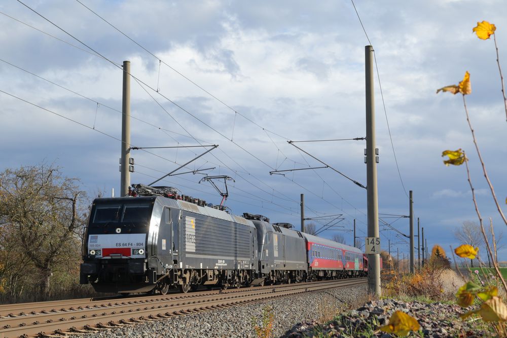 Bunt gemischt in Fröttstädt