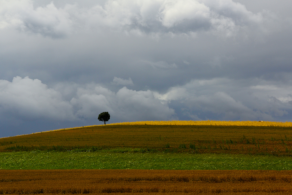 Bunt gestreift