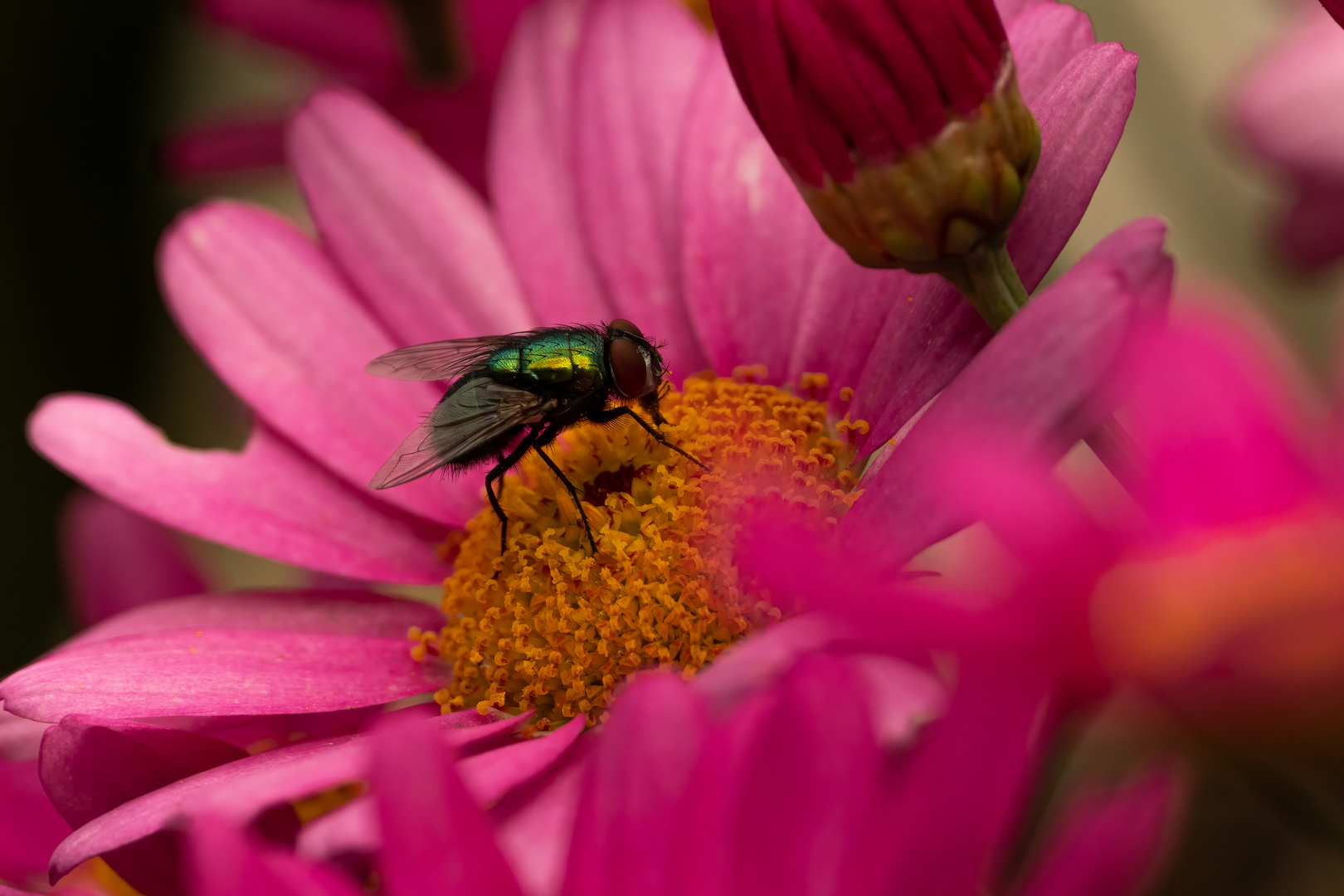 Bunt im Farbenmeer