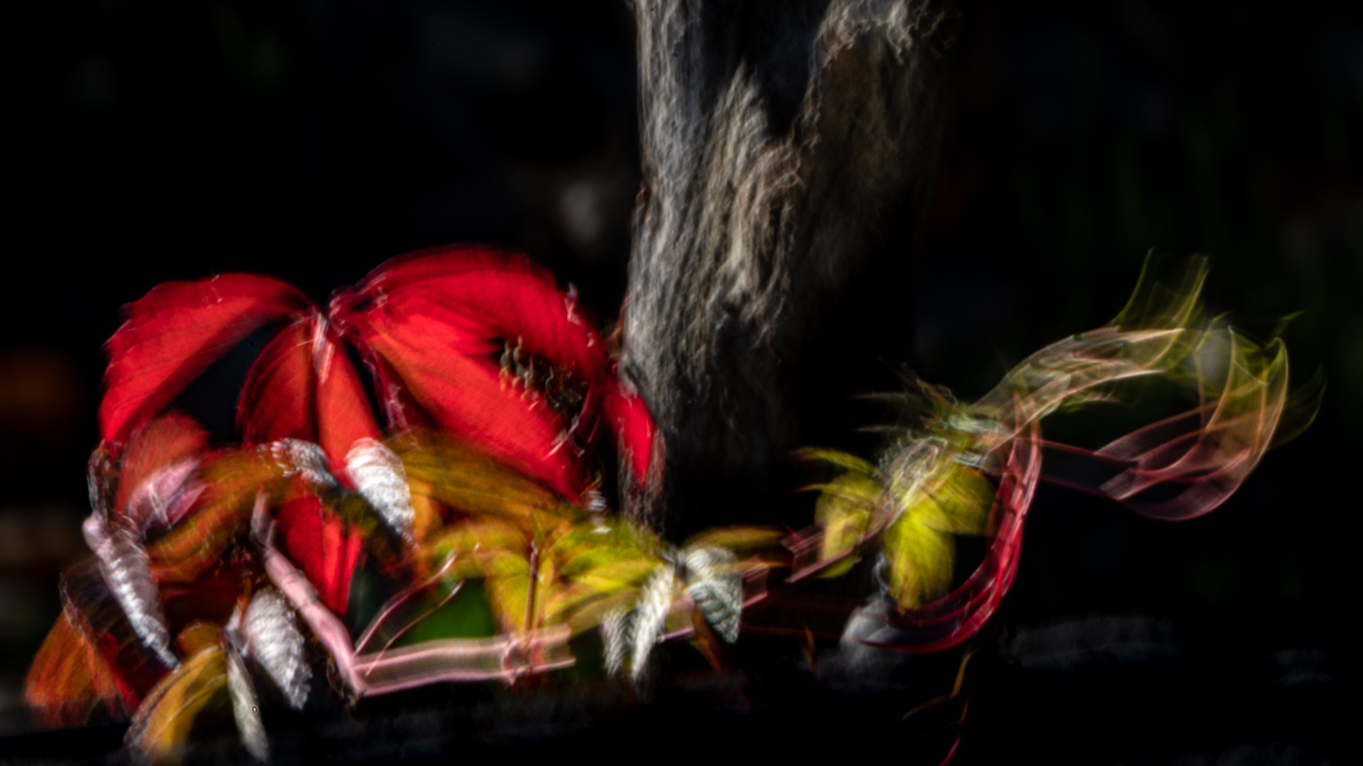 Bunt im Wald