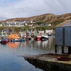 Bunt ist´s in Mallaig