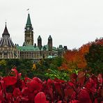 bunt mit Parlament