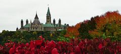 bunt mit Parlament