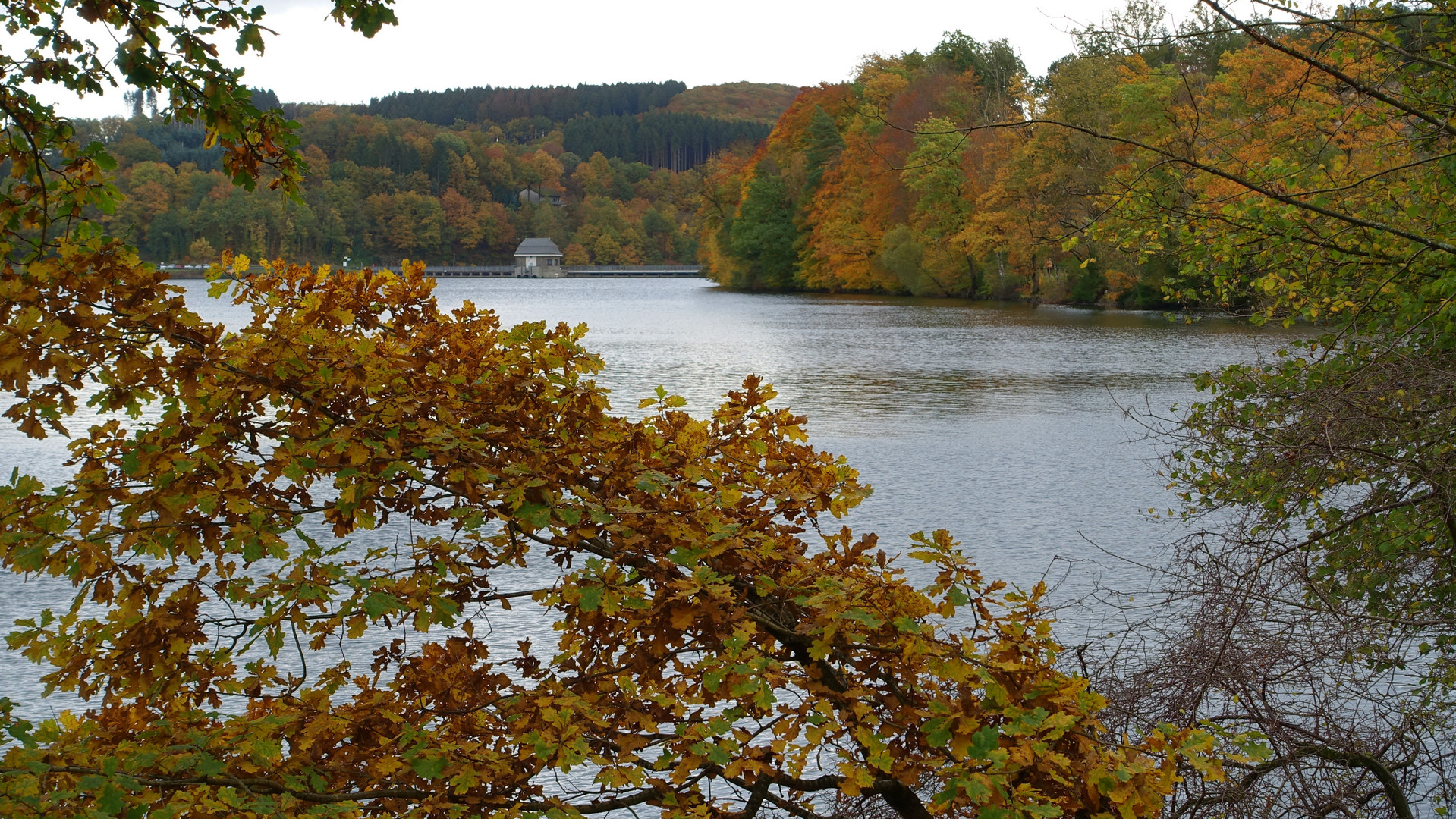 bunt sind noch die Wälder