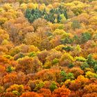 Bunt sind schon die Wälder