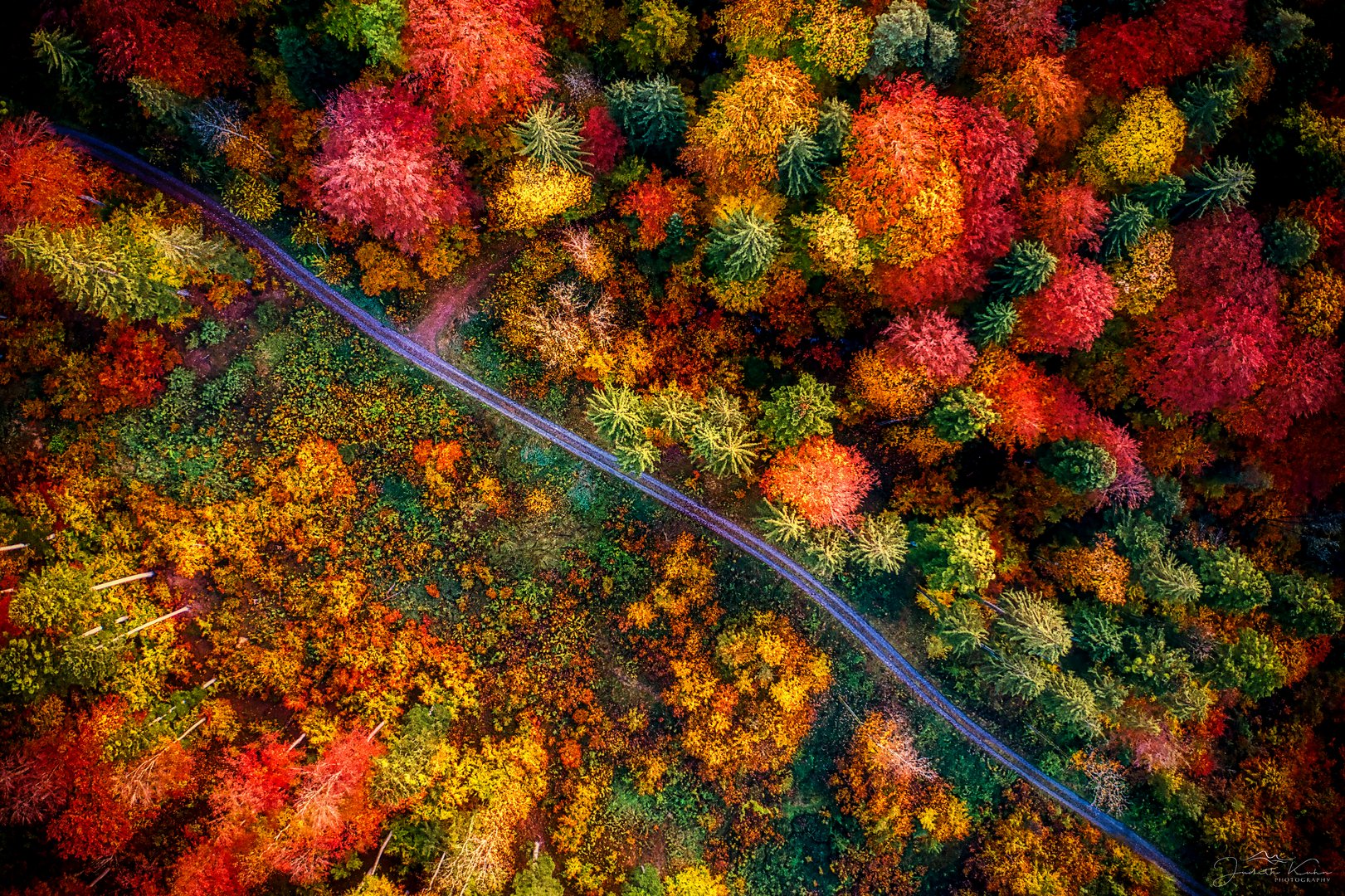 Bunt sind schon die Wälder...