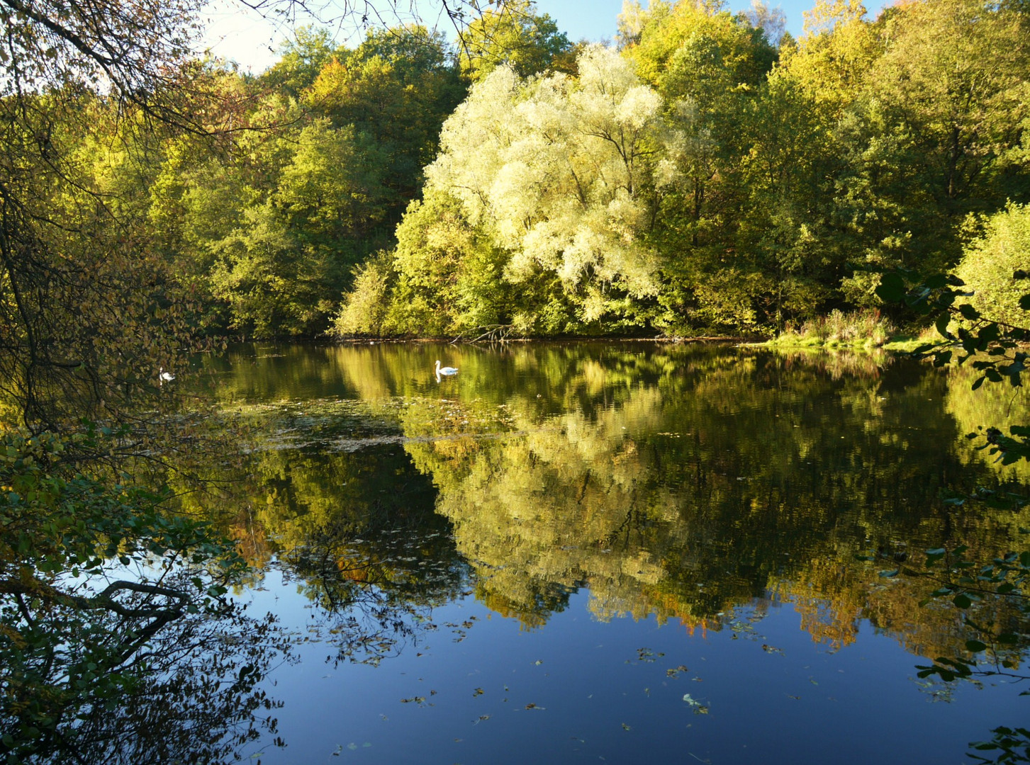 Bunt sind schon die Wälder