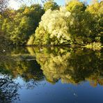 Bunt sind schon die Wälder