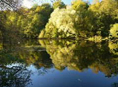 Bunt sind schon die Wälder