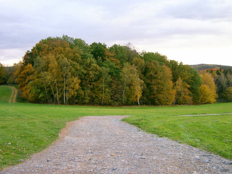 ...bunt sind schon die Wälder...