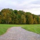 ...bunt sind schon die Wälder...