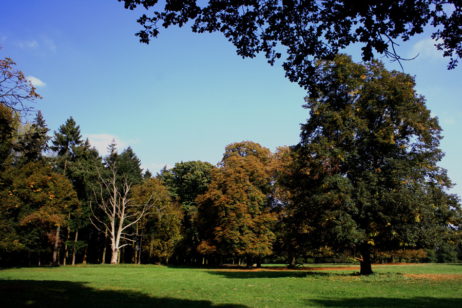 Bunt sind schon die Wälder....