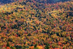 Bunt sind schon die Wälder...