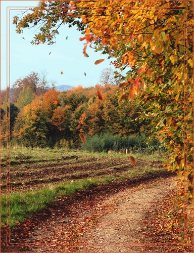 Bunt sind schon die Wälder...