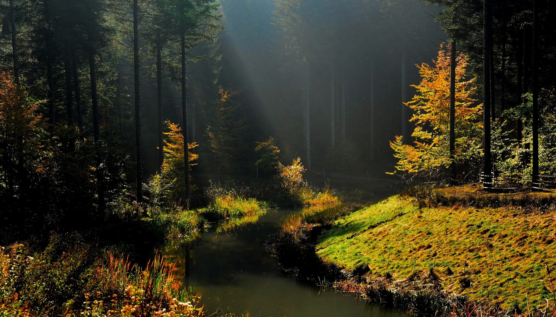 Bunt sind schon die Wälder, Foto & Bild wald, herbst, landschaft