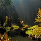 Bunt sind schon die Wälder,