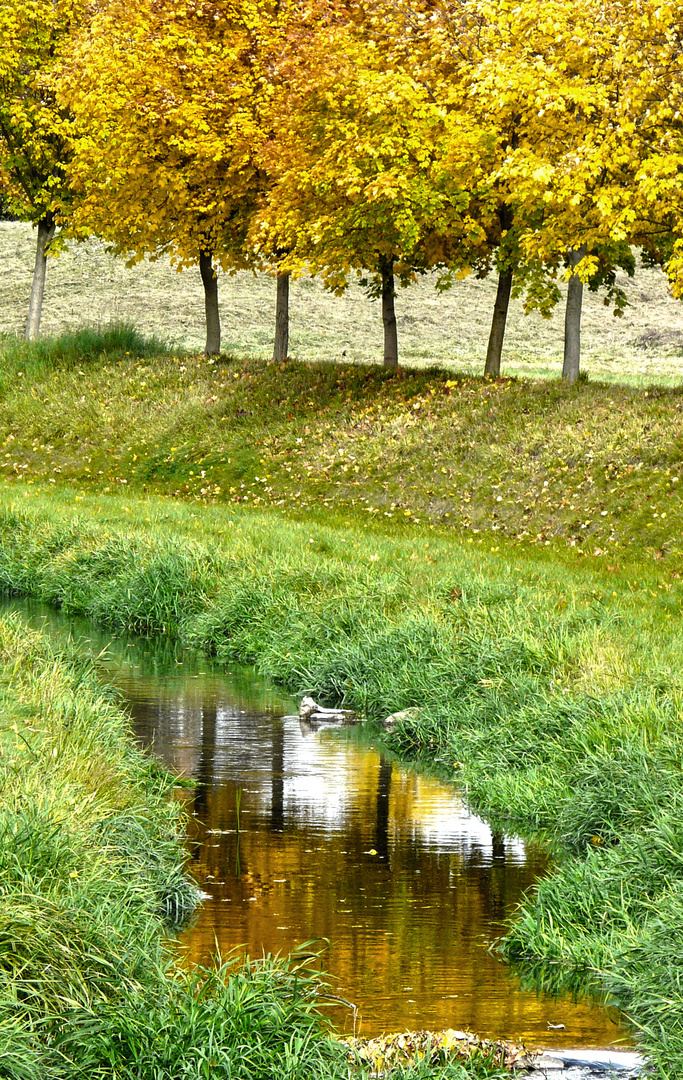 Bunt sind schon die Wälder...