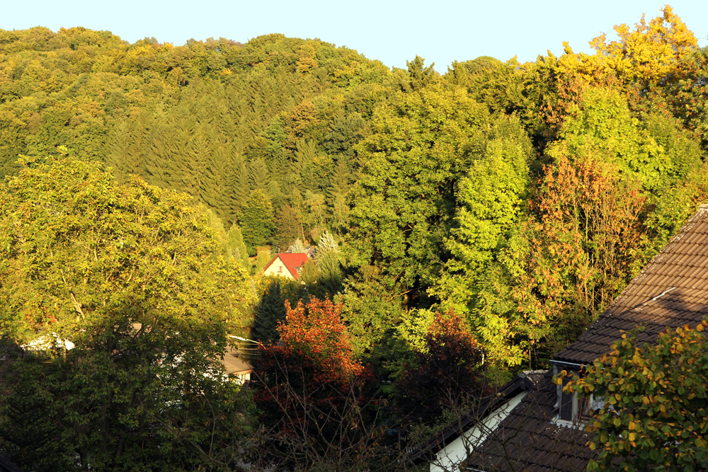 Bunt sind schon die Wälder