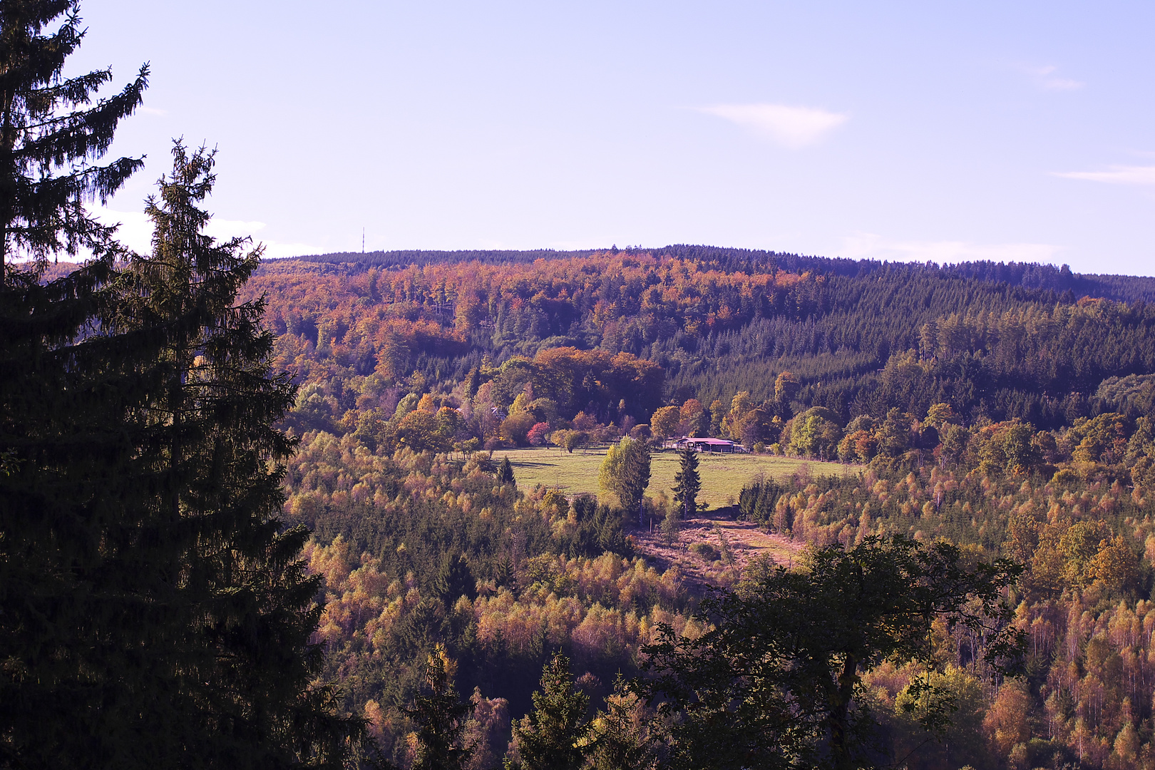 Bunt sind schon die Wälder / Bild 1