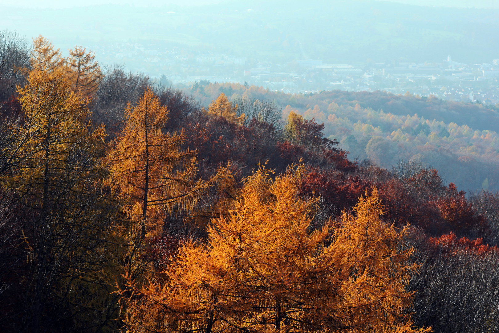 bunt sind schon die Wälder