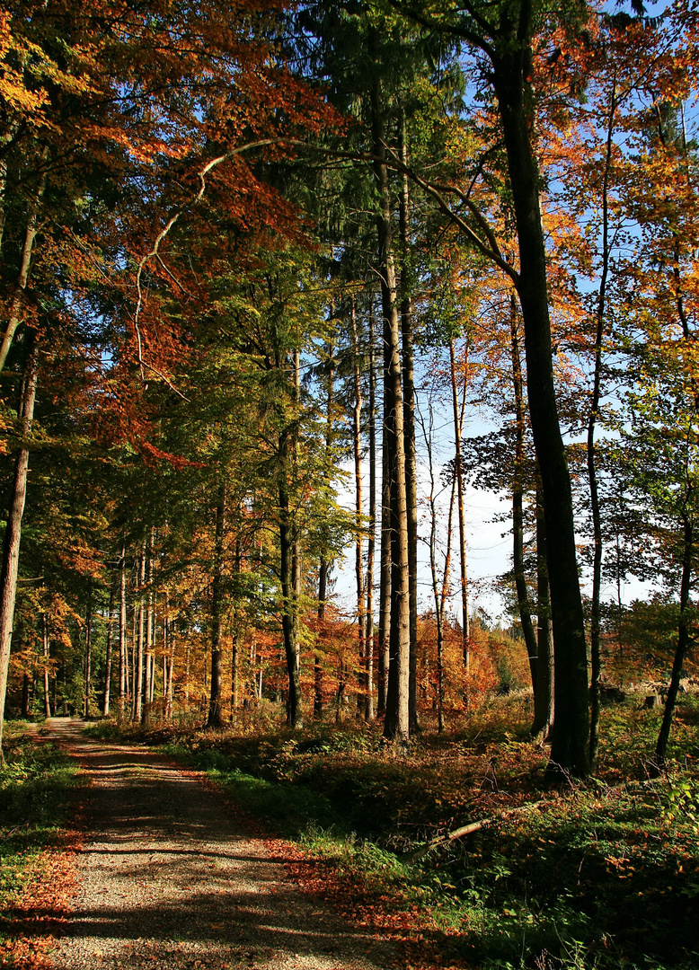 Bunt soll es sein