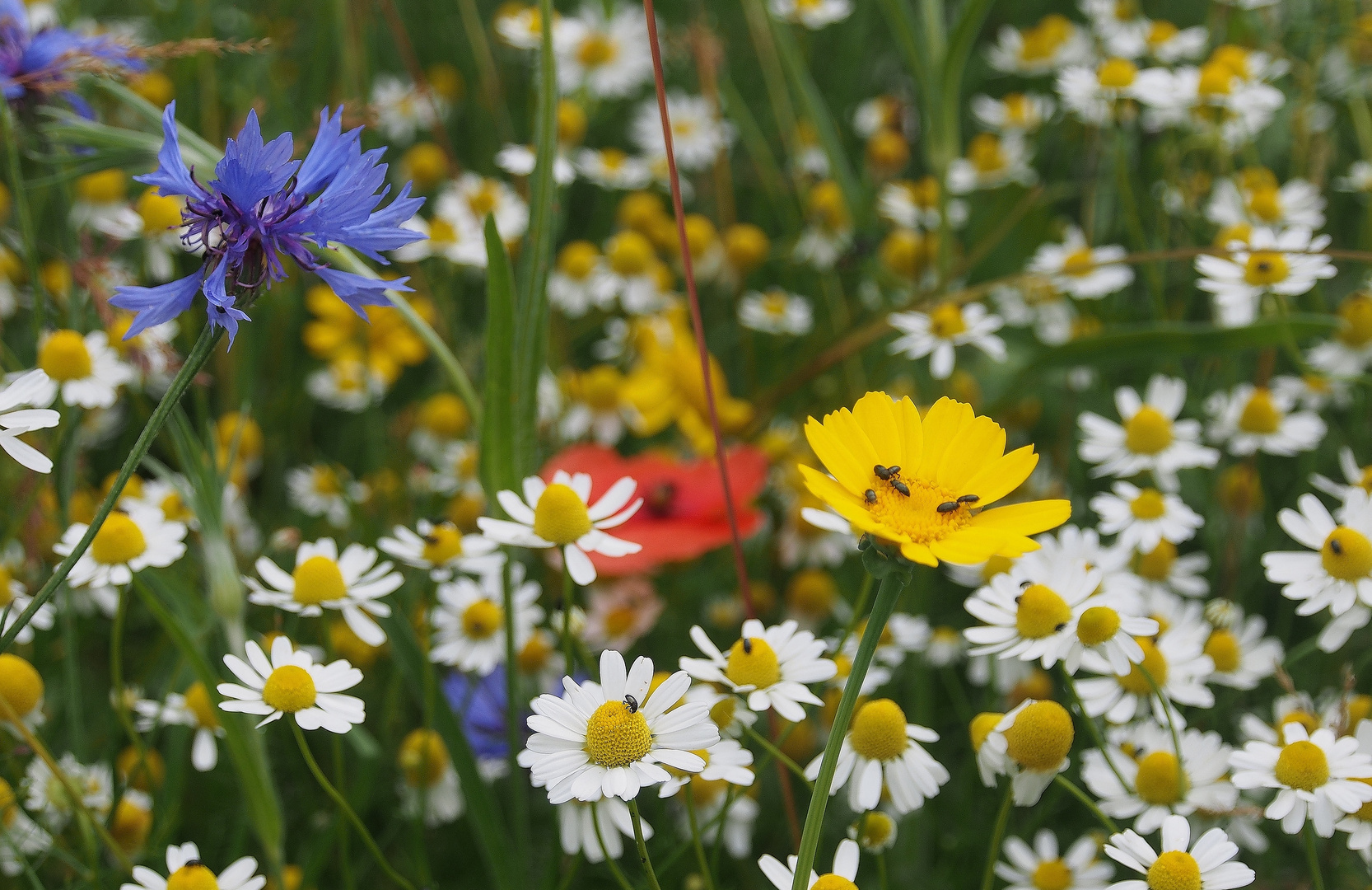 bunt und durcheinander