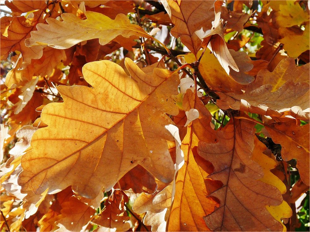 bunt und lichtdurchflutet