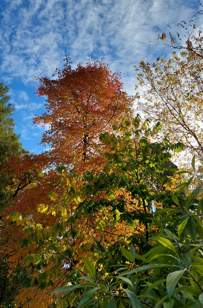 Bunt vor Blau