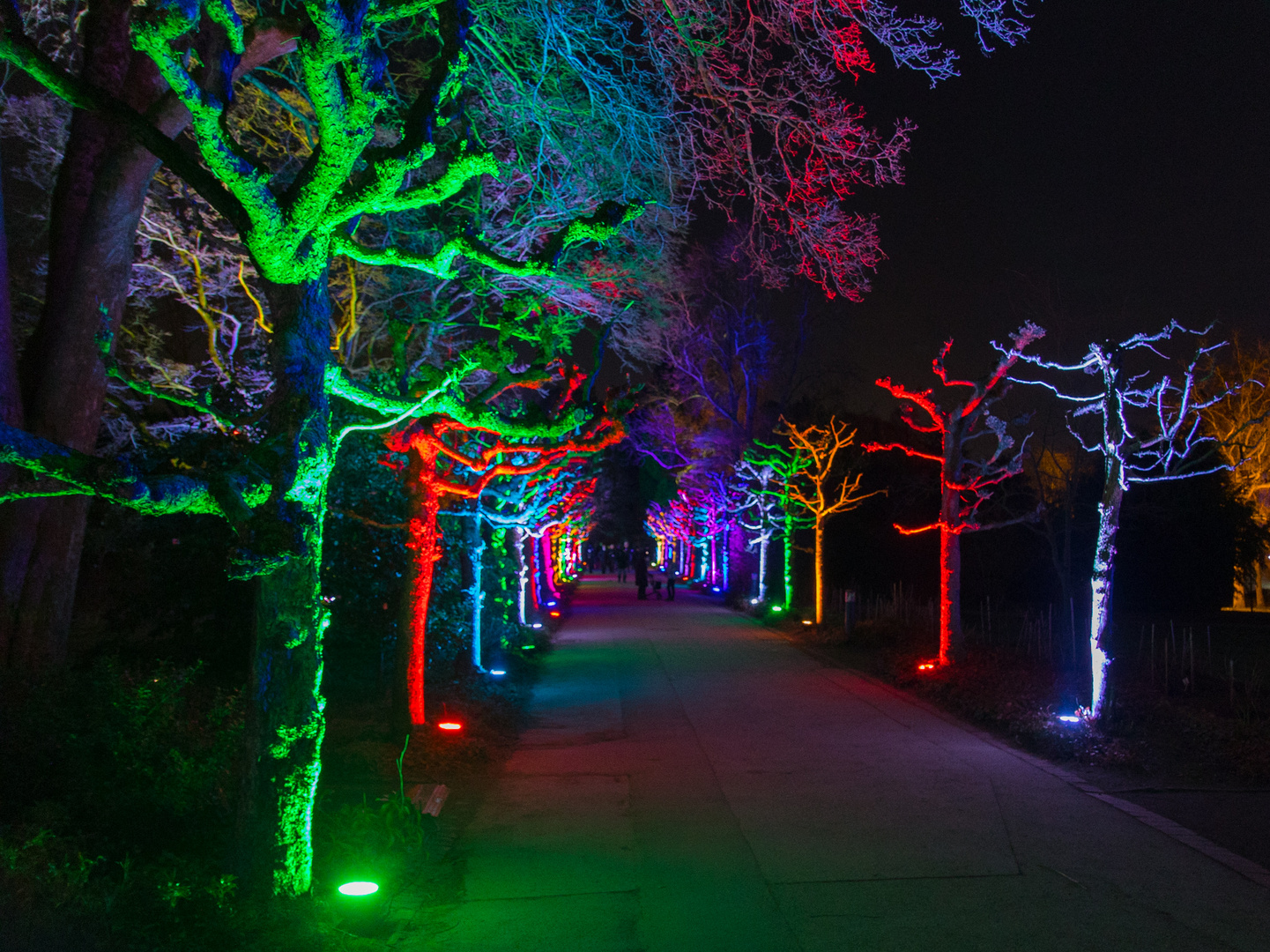 Bunte Allee im Grugapark (Illumation)