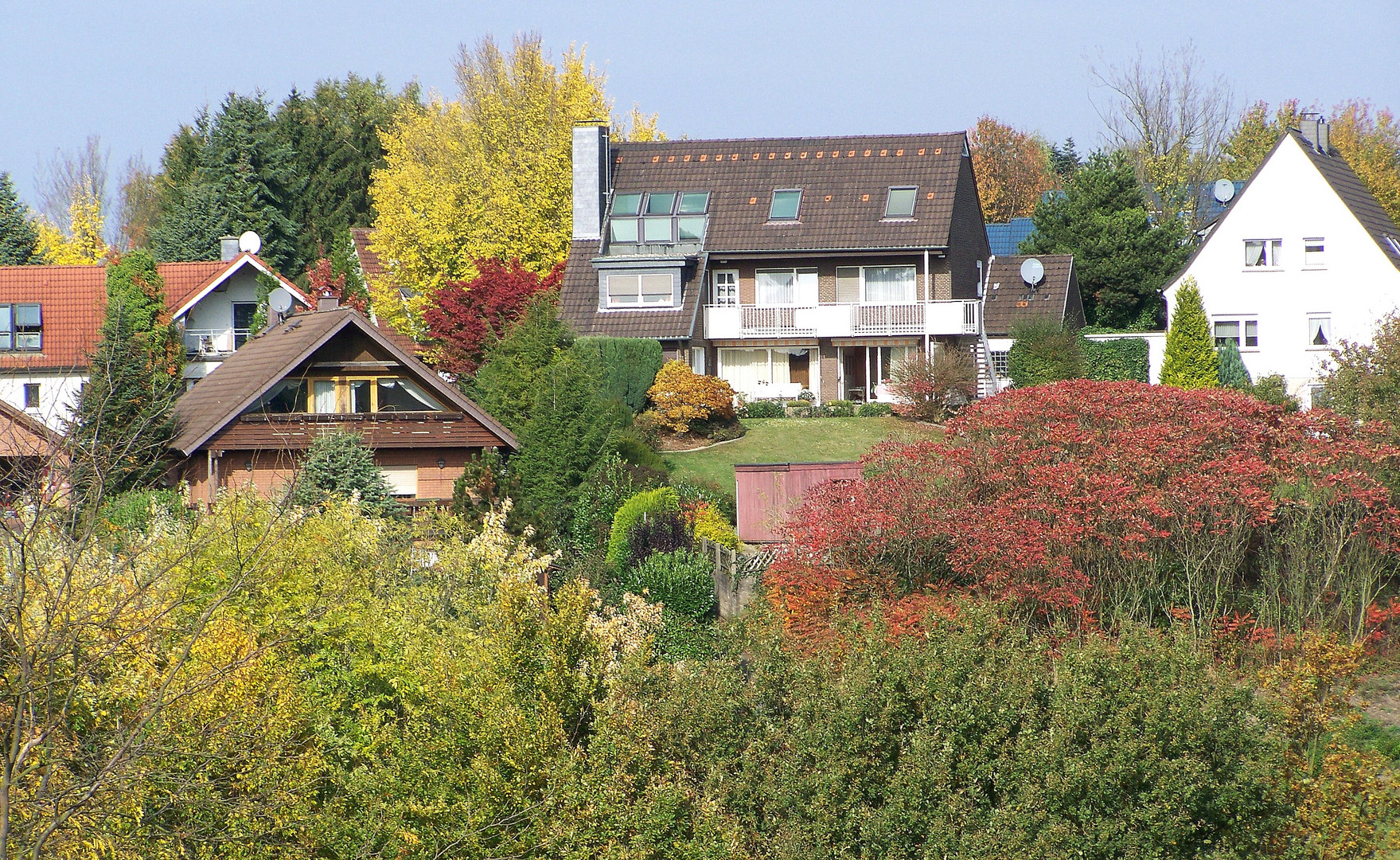 Bunte Bäume an der Hüsbergstraße