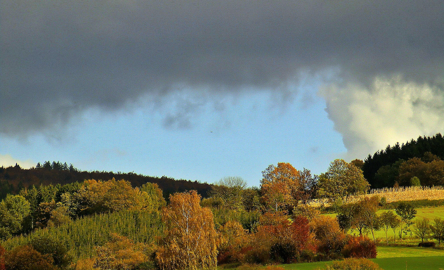 Bunte Bäume - dunkle Wolken