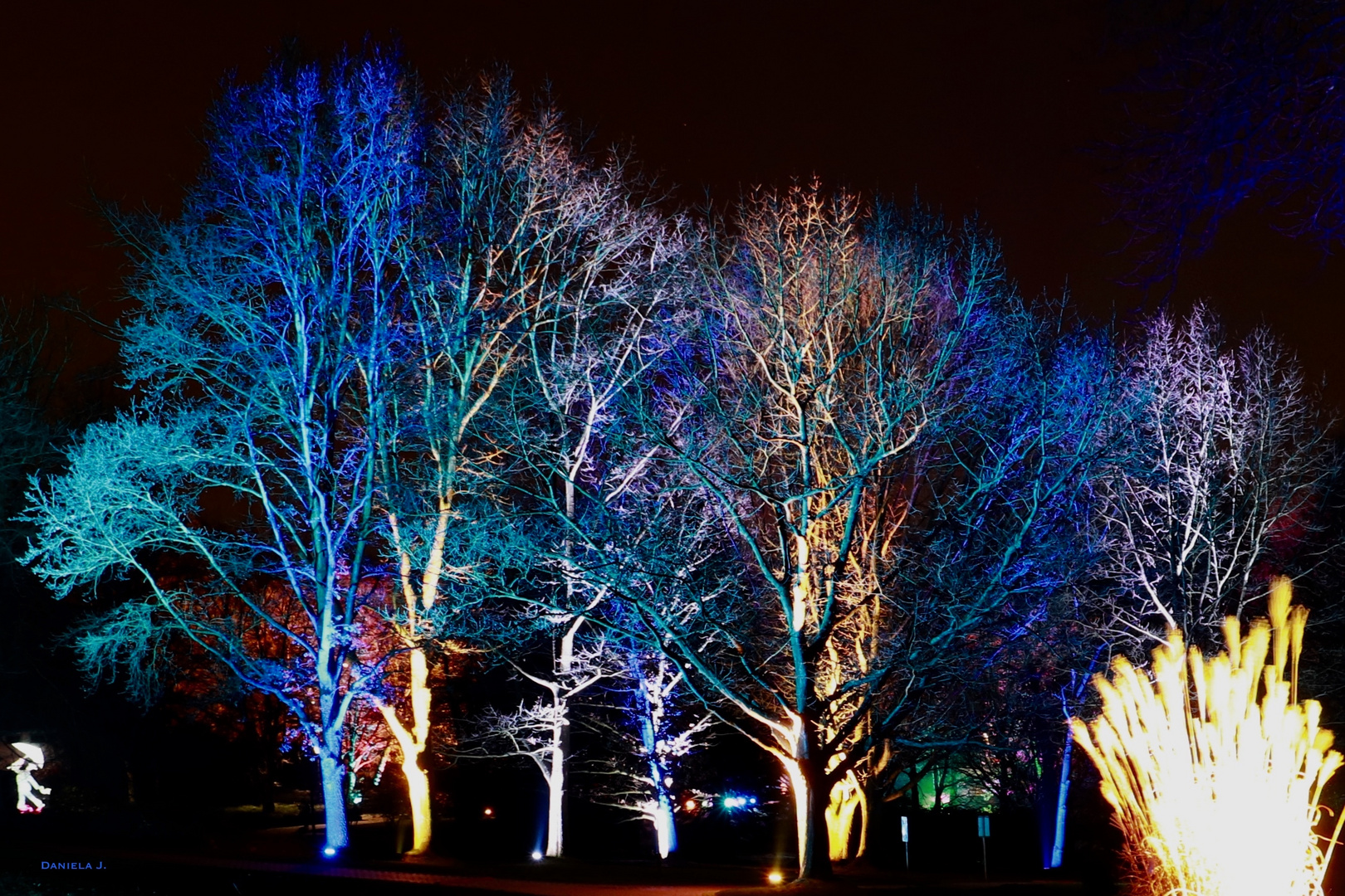 Bunte Bäume, Parkleuchten 2018, Grugapark Essen