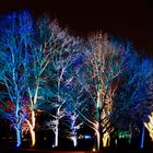 Bunte Bäume, Parkleuchten 2018, Grugapark Essen